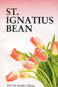 Master F.J. - St. Ignatius Bean