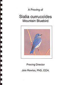 Rowles J. - Sialia currucoides - Mountain Bluebird