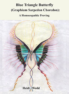 Wedd H. - Blue Triangle Butterfly - A Homoeopathic Proving