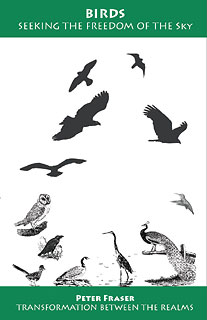 Fraser P. - Birds, Seeking the Freedom of the Sky