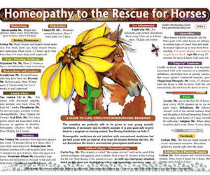 Whitney L. - Homeopathy to the Rescue for Horses chart/poster