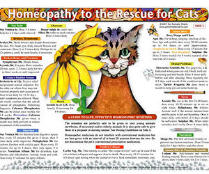 Whitney L. - Homeopathy to the Rescue for Cats chart/poster