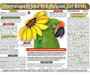 Whitney L. - Homeopathy to the Rescue for Birds chart/poster
