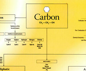 Morrison R. - Chart of Carbon Remedies