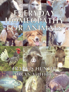 Hunter F. - Everyday Homeopathy for Animals