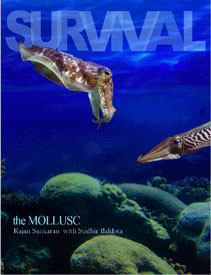 Sankaran R. - Survival - The Mollusc